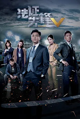 法证先锋5(国语版)